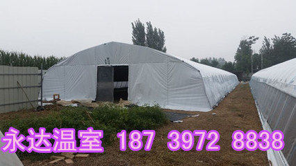 運城大棚建設公司山西晉城食用菌溫室大棚搭建造價