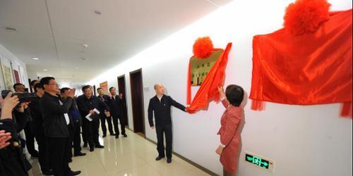 山西省審計(jì)廳舉行地方金融審計(jì)局及國有企業(yè)審計(jì)局成立揭牌儀式